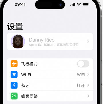 琼山appleID维修服务iPhone设置中Apple ID显示为灰色无法使用