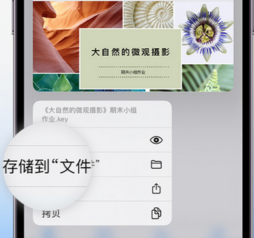 琼山apple维修中心分享iPhone文件应用中存储和找到下载文件