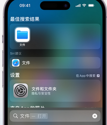 琼山apple维修中心分享iPhone文件应用中存储和找到下载文件 