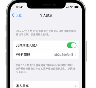 琼山apple服务站点分享iPhone上个人热点丢失了怎么办 