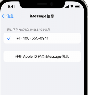 琼山apple维修iPhone上无法正常发送iMessage信息 