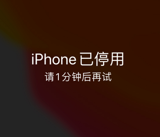 琼山苹果手机维修分享:iPhone 显示“不可用”或“已停用”怎么办？还能保留数据吗？ 