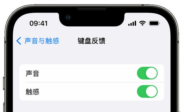 琼山苹果手机维修分享iPhone 14触感键盘使用方法 