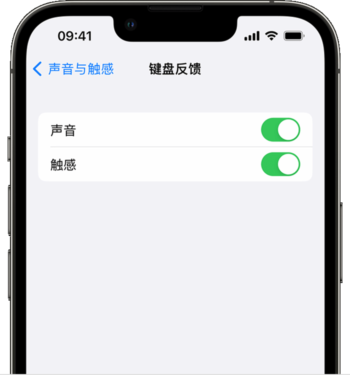 琼山苹果14维修店分享如何在 iPhone 14 机型中使用触感键盘 