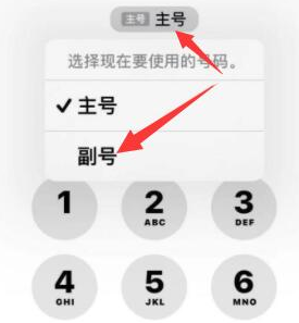 琼山苹果14维修店分享iPhone 14 Pro Max使用副卡打电话的方法 