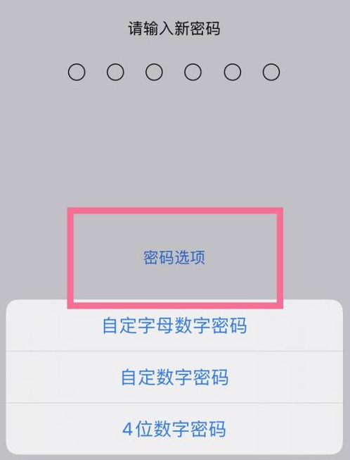 琼山苹果14维修分享iPhone 14plus设置密码的方法 