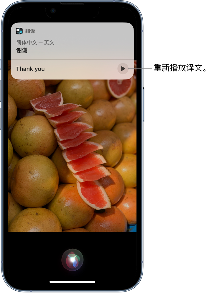 琼山苹果14维修分享 iPhone 14 机型中使用 Siri：了解 Siri 能帮你做什么 