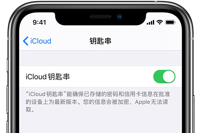 琼山苹果手机维修分享在 iPhone 上开启 iCloud 钥匙串之后会储存哪些信息 