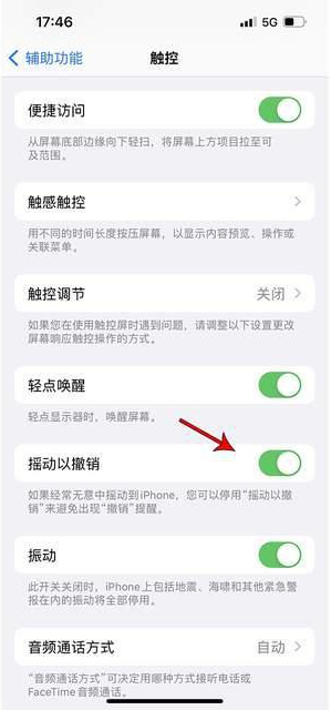 琼山苹果手机维修分享iPhone手机如何设置摇一摇删除文字 