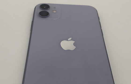 琼山苹果11系统维修分享iPhone11手机系统崩溃无法开机如何解决
